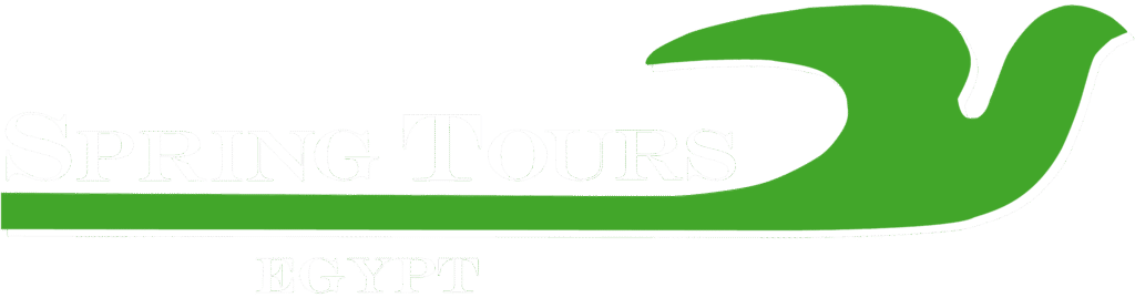 logo springtours