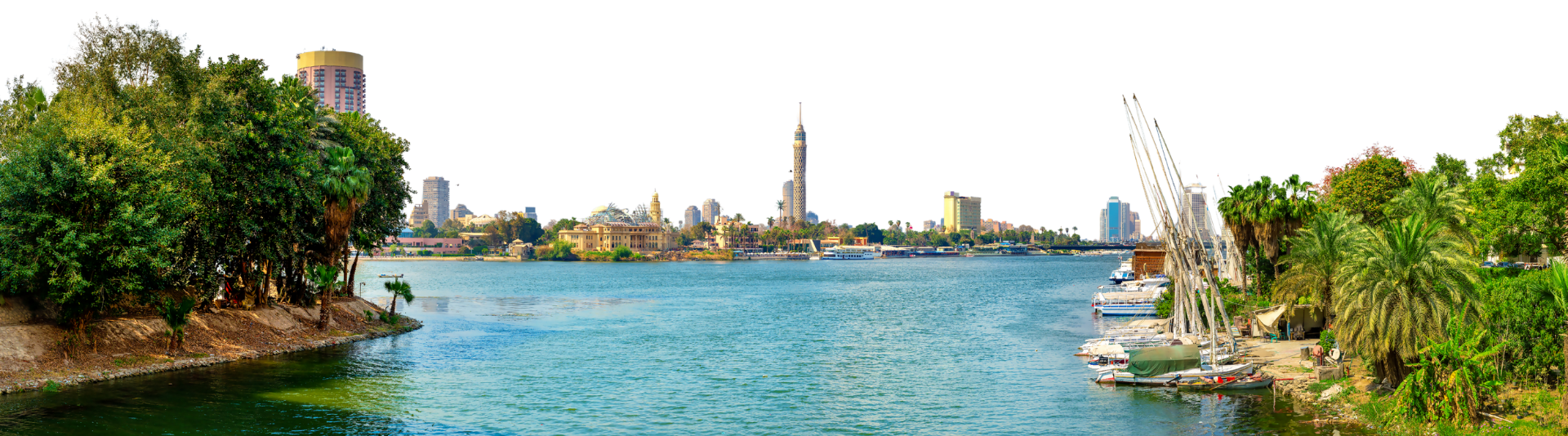 untitled design (17)